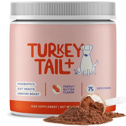 Turkey Tail+ Supplements