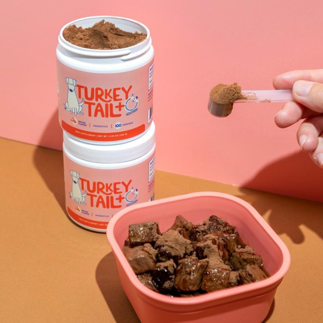 Turkey Tail+ Supplements