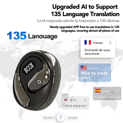 Translation Earbuds