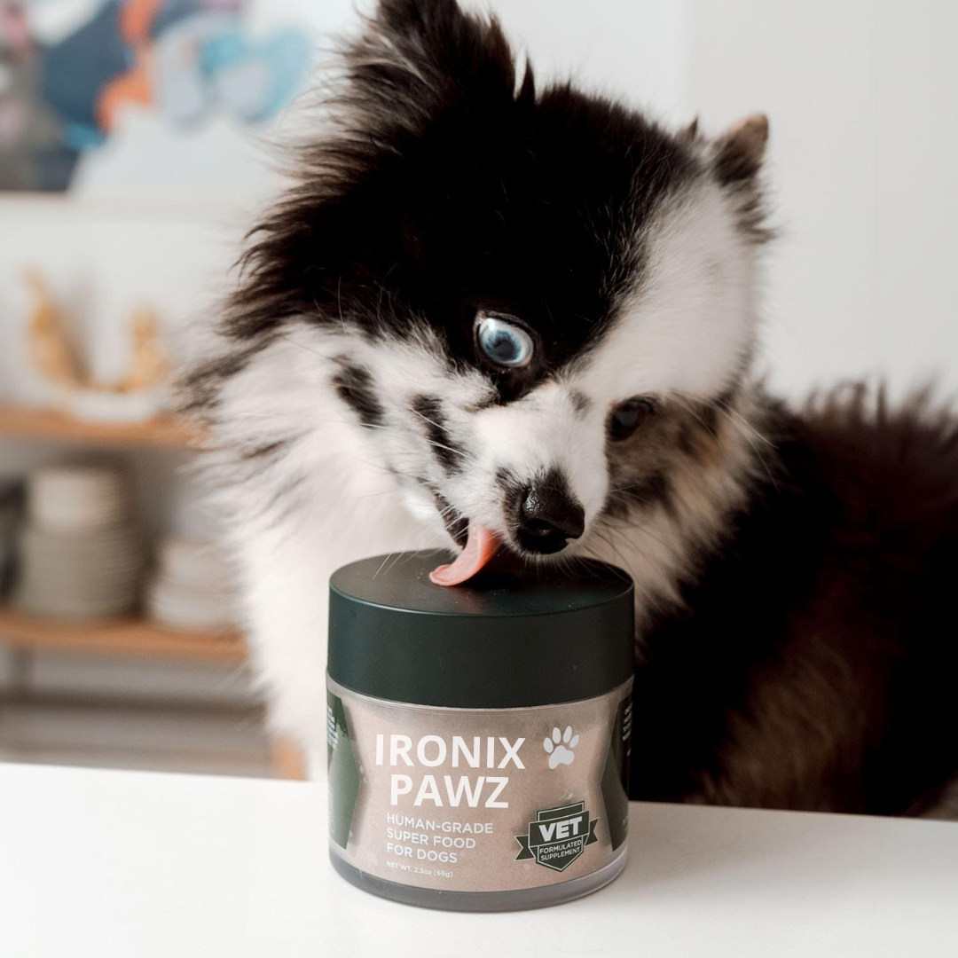 Ironix Pawz-SuperGreen Dog Blend