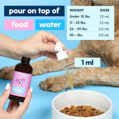 Premium Grass-fed Collagen for Dogs