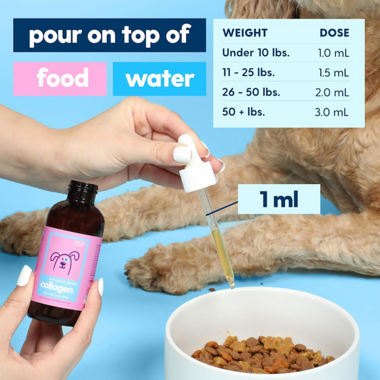 Premium Grass-fed Collagen for Dogs