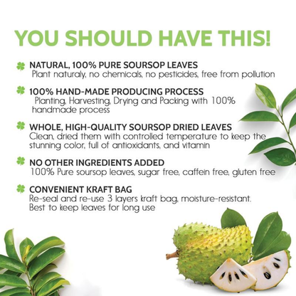 Premium Soursop Graviola Dried Leaves