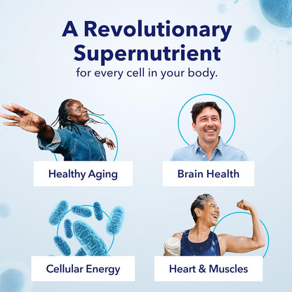 NeuroLift-The Ultimate Brain Performance Enhancer