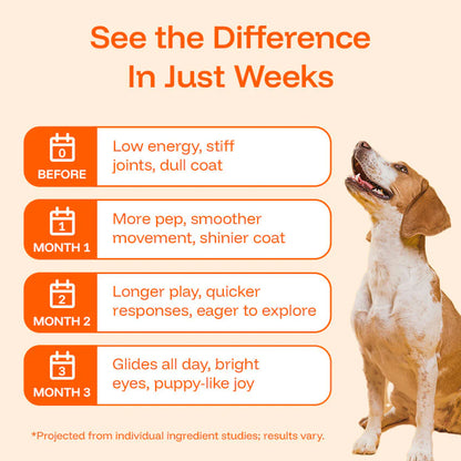 Pawgevity Vitality Drops