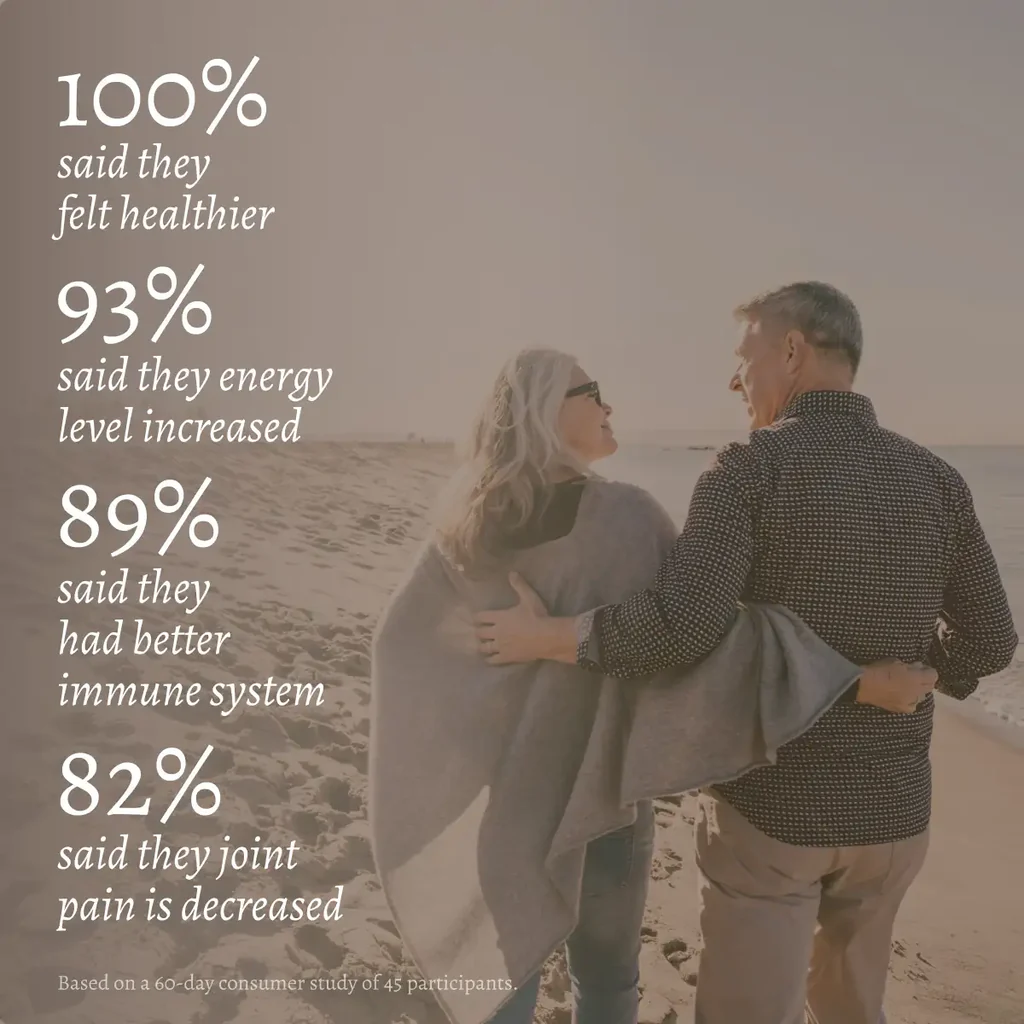 Portable Ionic Foot Bath Detox