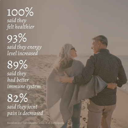 Portable Ionic Foot Bath Detox